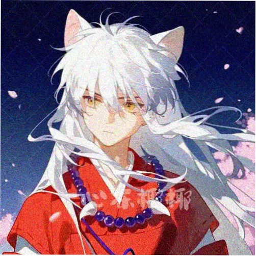 用户周迟的头像